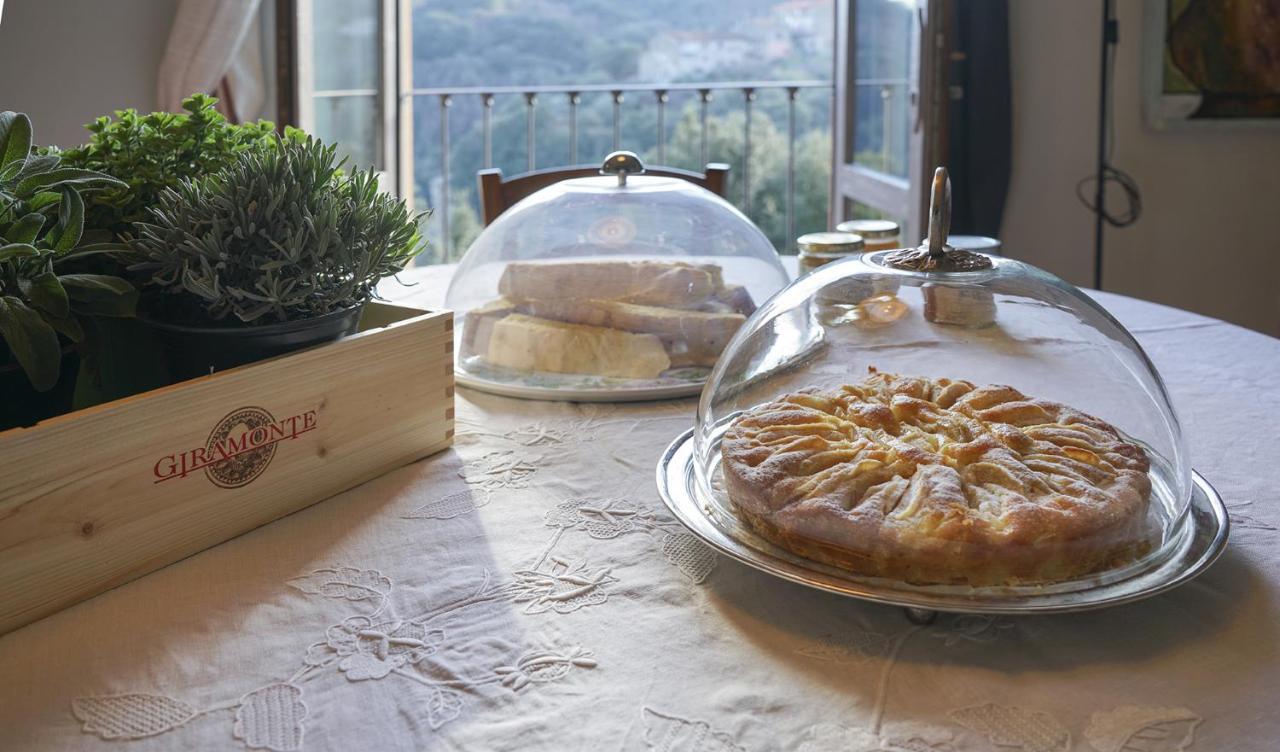 Locanda Degli Alberi Sassetta Εξωτερικό φωτογραφία